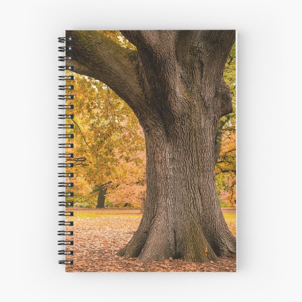 Item preview, Autumn in Melbourne designed and sold by David Bowman.