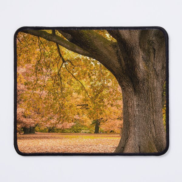 Item preview, Autumn in Melbourne designed and sold by David Bowman.