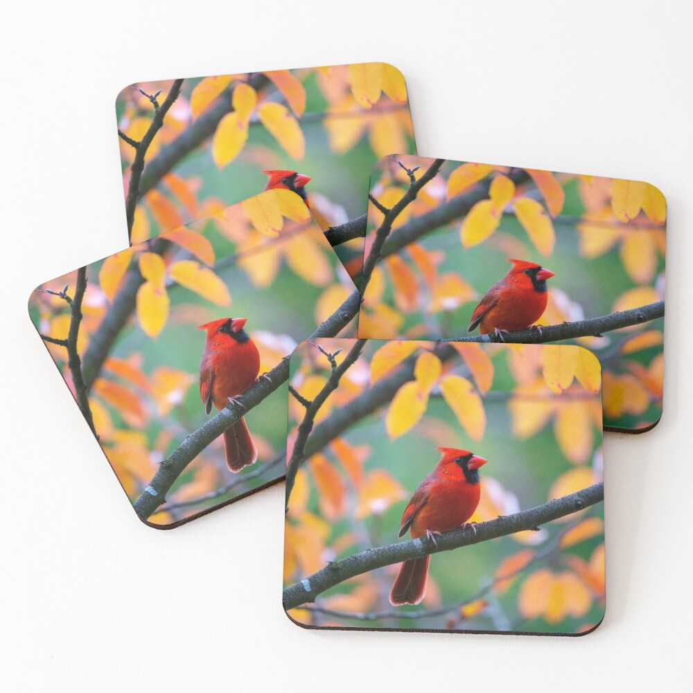 Item preview, Coasters (Set of 4) designed and sold by CreativeKeally.