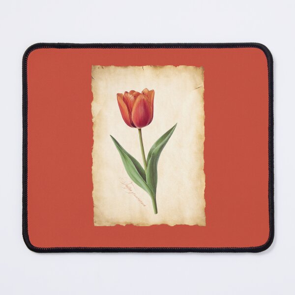 Item preview, Tulipa gesneriana | Red Tulip Botanical Illustration on Parchment designed and sold by ChristinePartlow.