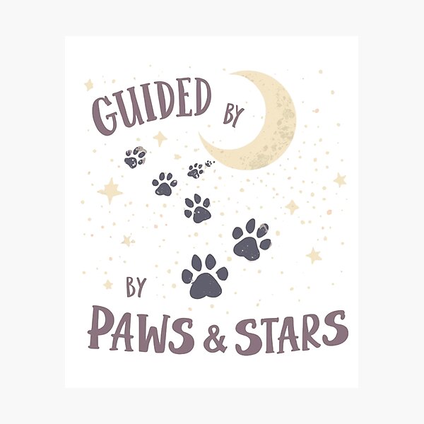Aperçu de l'œuvre Guidé par les pattes et les étoiles – Un ciel nocturne fantaisiste pour les amoureux des animaux créée et vendue par Activity01.