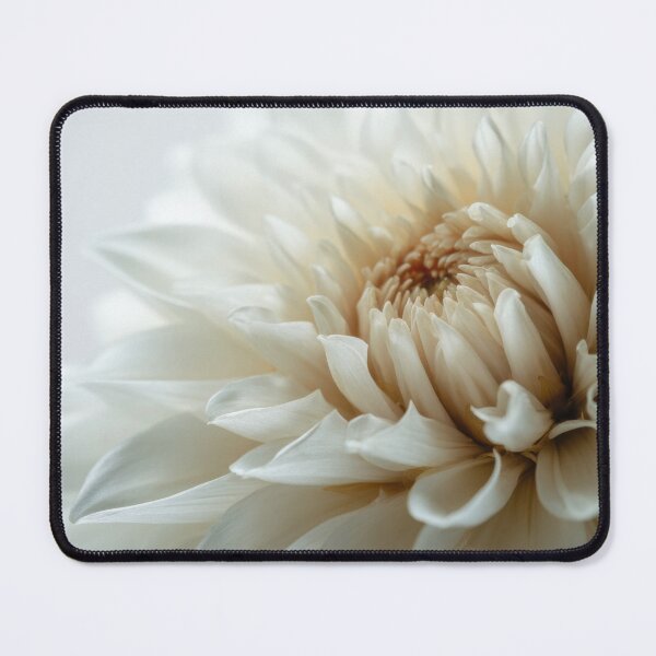 Item preview, White flower bloom in soft light designed and sold by anytka.