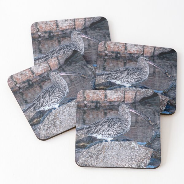 Item preview, Eurasian Curlew Feeding designed and sold by Tom McPherson Photography.