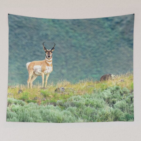 Item preview, Antelope  designed and sold by Kay Brewer.