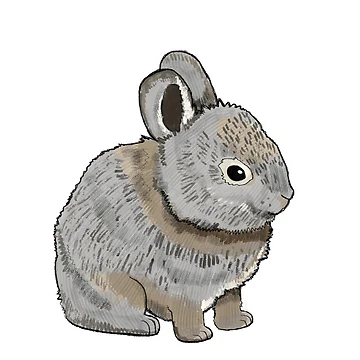 Artwork thumbnail, Pygmy Rabbit by BlueStarArt