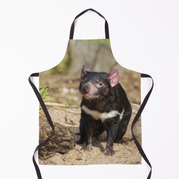 Item preview, Devil in the Sunlight – Wild Spirit of Tasmania designed and sold by rawshutterbug.