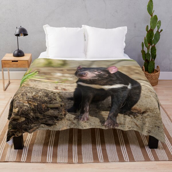 Item preview, Devil in the Sunlight – Wild Spirit of Tasmania designed and sold by rawshutterbug.
