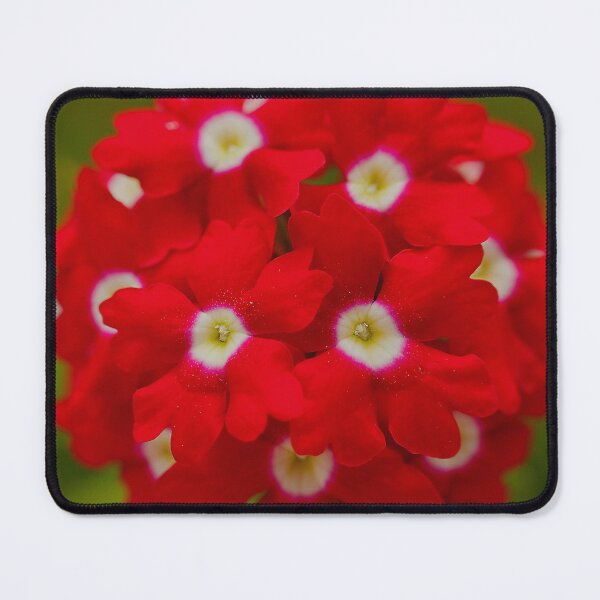 Item preview, Cluster of red flowers with white and yellow centers designed and sold by Production Art Manon Meilleur.