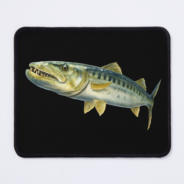 Item preview, Barracuda designed and sold by TimJeffsArt.