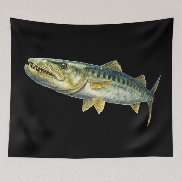 Item preview, Barracuda designed and sold by TimJeffsArt.