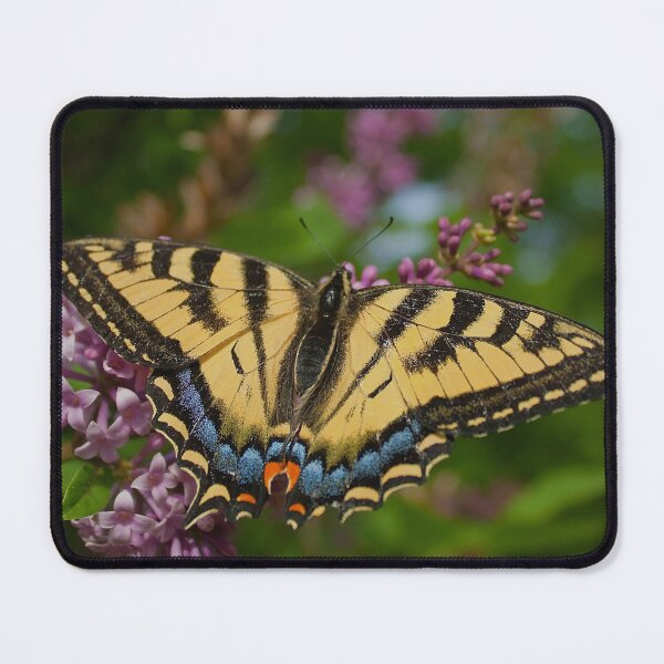 Item preview, Yellow Canadian Triangulated Butterfly designed and sold by Production Art Manon Meilleur.