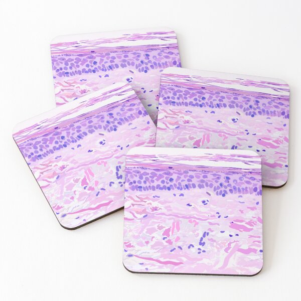 Item preview, Copy of Skin histology designed and sold by daniellerr.