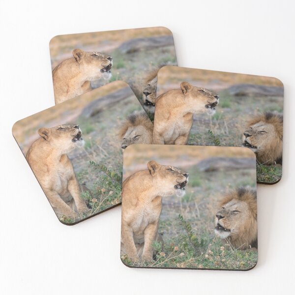 Item preview, Savuti Standoff — Waziba & the Lioness Trade Low Roars at Dusk, Chobe designed and sold by DavideAntoniani.