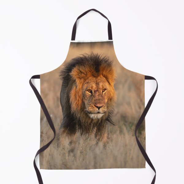 Item preview, [Fire in His Eyes] — Lion of Savuti, Romeo at Dusk — Botswana designed and sold by DavideAntoniani.