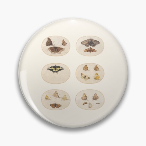 Item preview, Plates but not - butterfly and moths - Classical Art - Vintage - Antique  designed and sold by Chalene Warner.