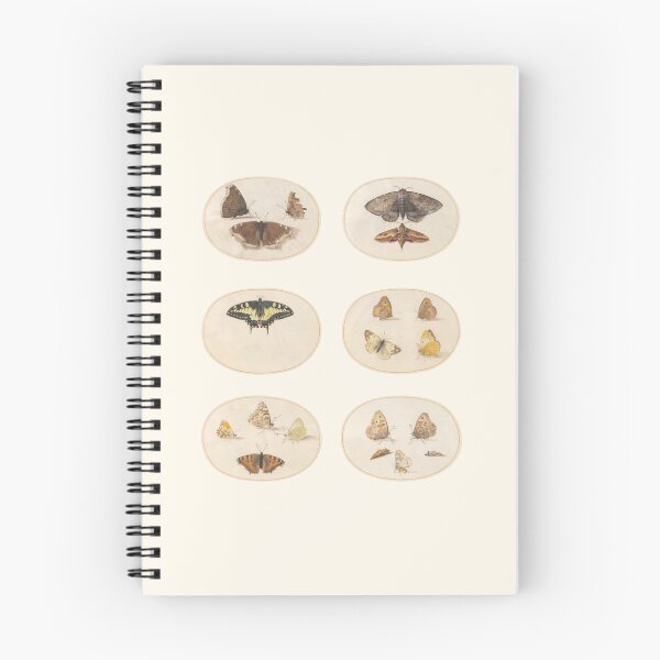 Item preview, Plates but not - butterfly and moths - Classical Art - Vintage - Antique  designed and sold by Chalene Warner.