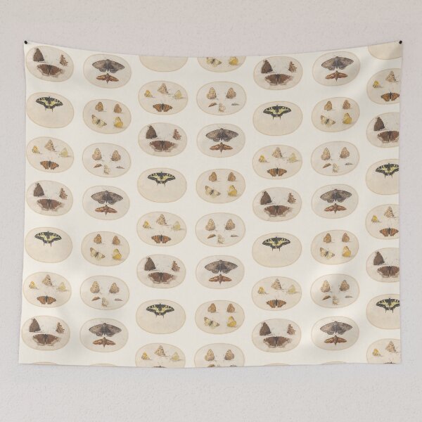 Item preview, Plates but not - butterfly and moths - Classical Art - Vintage - Antique  designed and sold by Chalene Warner.