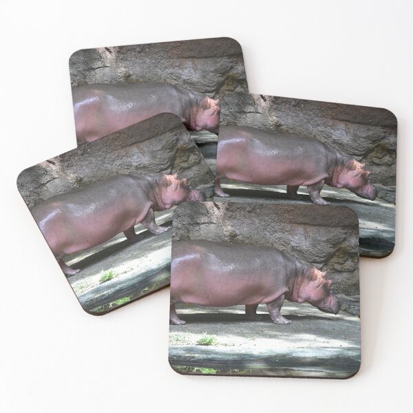 Item preview, Hippo in Natural Habitat designed and sold by MercerImages.