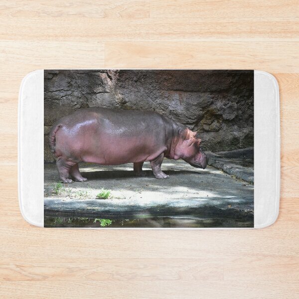 Item preview, Hippo in Natural Habitat designed and sold by MercerImages.
