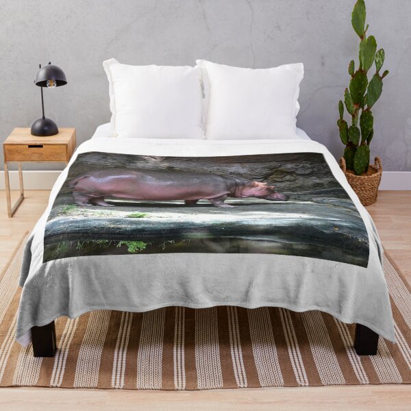 Item preview, Hippo in Natural Habitat designed and sold by MercerImages.