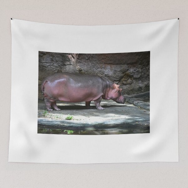 Item preview, Hippo in Natural Habitat designed and sold by MercerImages.
