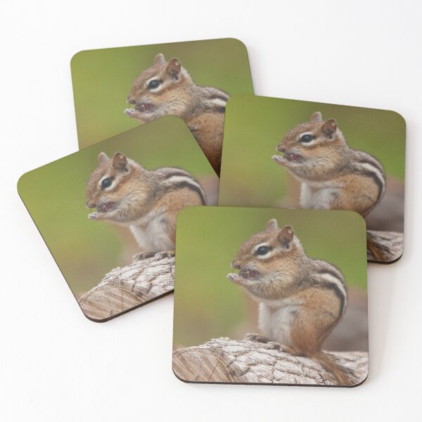 Item preview, A chipmunk with a pierced ear designed and sold by Production Art Manon Meilleur.