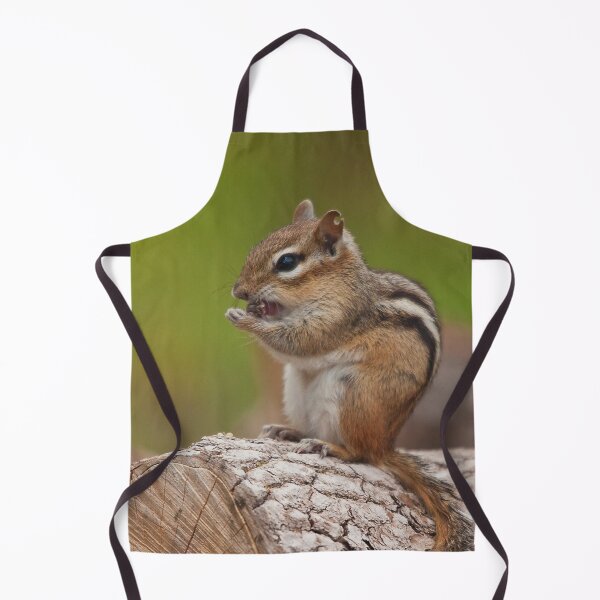 Item preview, A chipmunk with a pierced ear designed and sold by Production Art Manon Meilleur.
