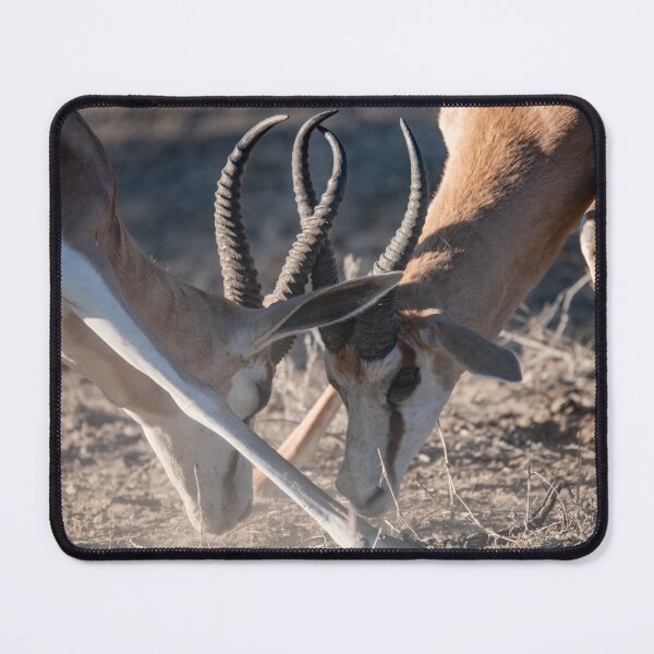Item preview, Dust & Horns — Springbok Duel at Etosha designed and sold by DavideAntoniani.