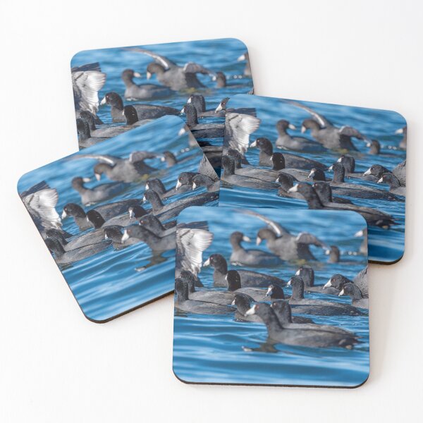 Item preview, American Coot flock on the move designed and sold by lisavonbiela.