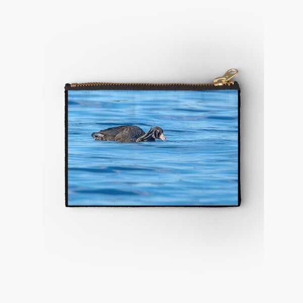 Item preview, American Coot scratching itself with its huge foot designed and sold by lisavonbiela.