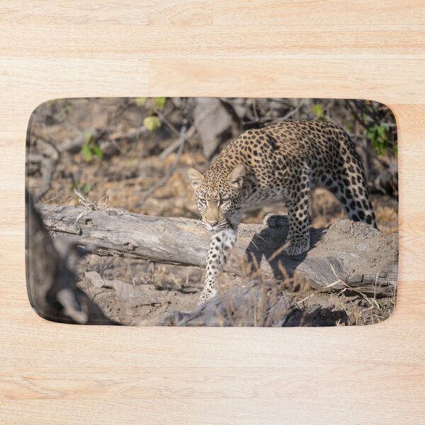 Item preview, Leopard Cub on the Fallen Tree, Savuti Botswana designed and sold by DavideAntoniani.
