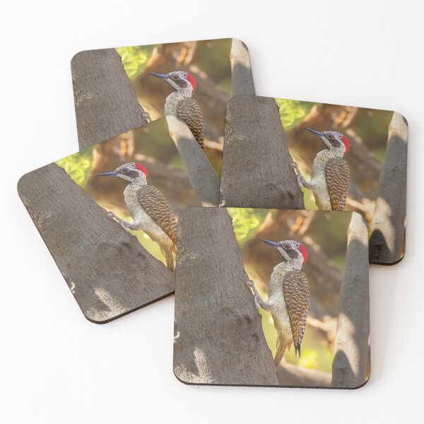 Item preview, Golden-Tailed Woodpecker designed and sold by Kay Brewer.