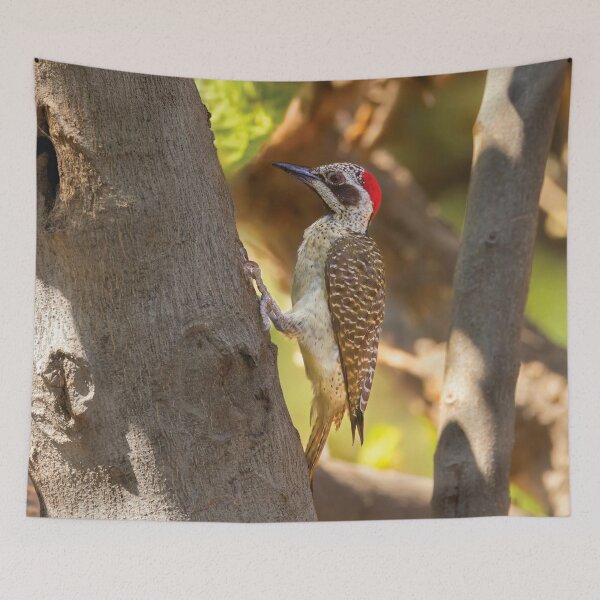 Item preview, Golden-Tailed Woodpecker designed and sold by Kay Brewer.