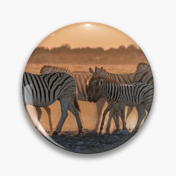 Item preview, Zebra at Sunset, Dust and Light, Etosha Namibia designed and sold by DavideAntoniani.