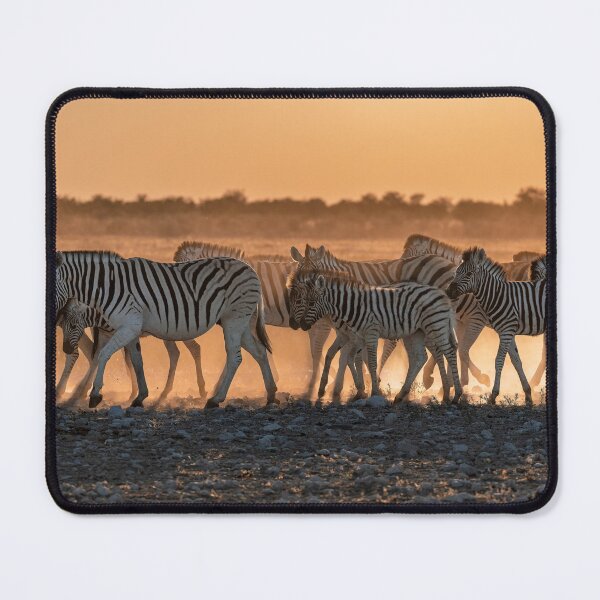 Item preview, Zebra at Sunset, Dust and Light, Etosha Namibia designed and sold by DavideAntoniani.