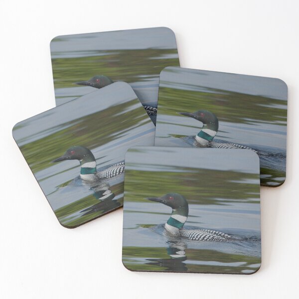 Item preview, A loon swimming on the green and blue water of the Baskatong Reservoir designed and sold by Production Art Manon Meilleur.
