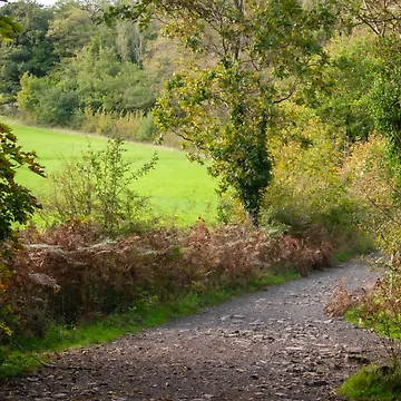 Artwork thumbnail, Countryside Path by Christine Lake