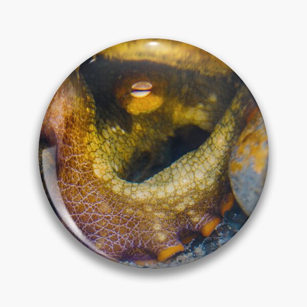 Item preview, Octopus Stare designed and sold by PulsiPictures.
