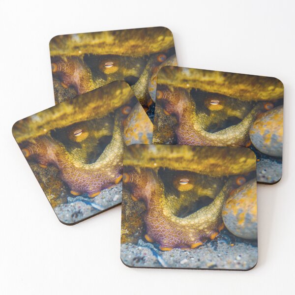 Item preview, Octopus Stare designed and sold by PulsiPictures.