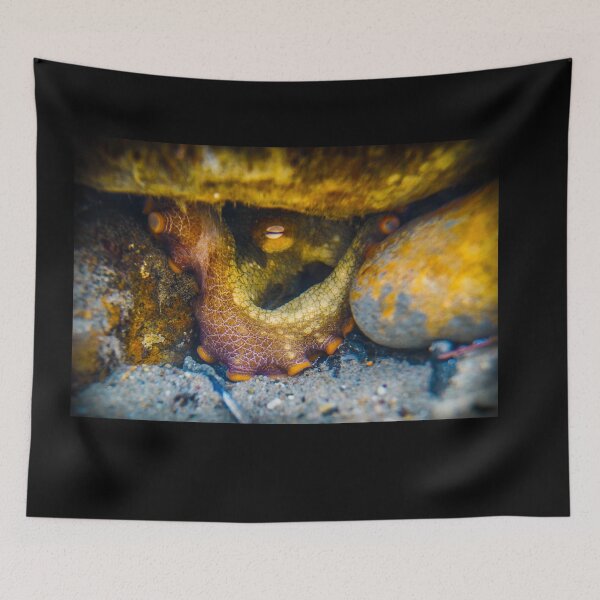 Item preview, Octopus Stare designed and sold by PulsiPictures.