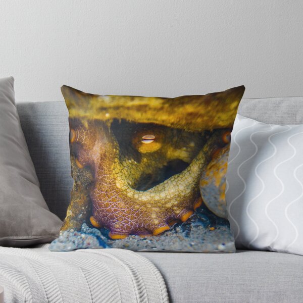 Item preview, Octopus Stare designed and sold by PulsiPictures.
