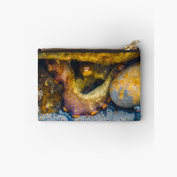 Item preview, Octopus Stare designed and sold by PulsiPictures.