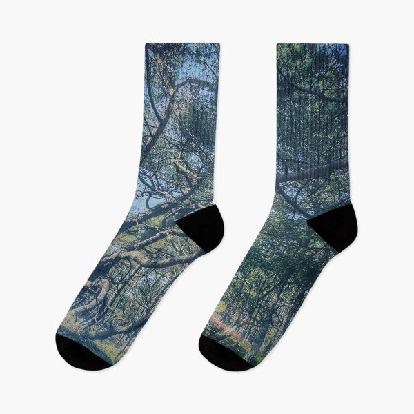 Item preview, Young Ent running through the Wild Wood designed and sold by metamorview.