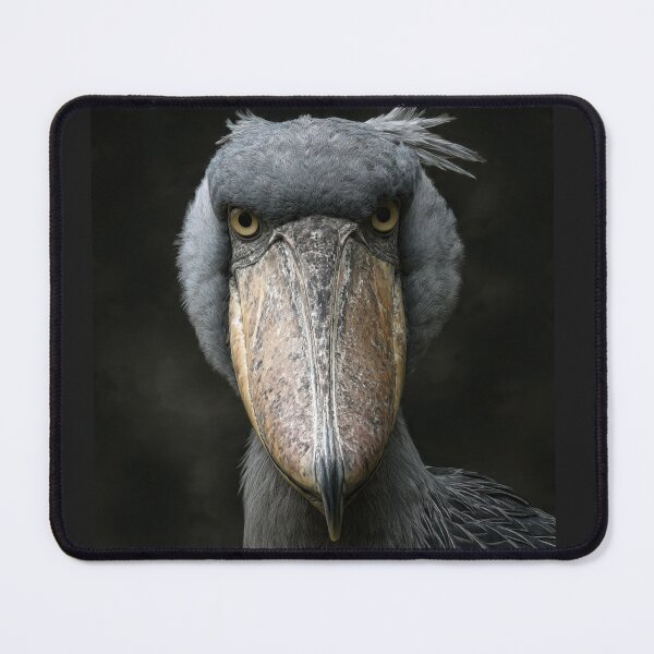 Item preview, Shoebill  designed and sold by Savannah Gibbs.