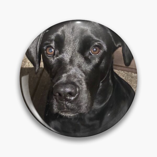 Item preview, Good boy designed and sold by Huntingworld57.