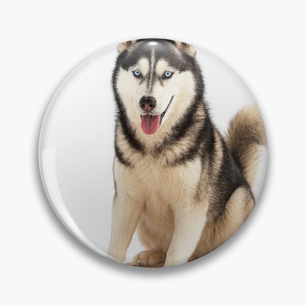Artikelvorschau, Husky-Hundeschlittenfahren entworfen und verkauft von ChristisDesigns.