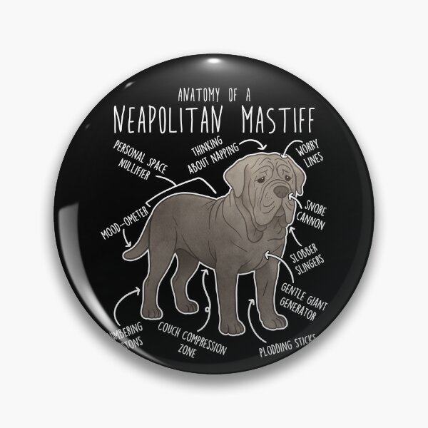 Item preview, Neapolitan Mastiff Dog Anatomy designed and sold by Clara Hollins.