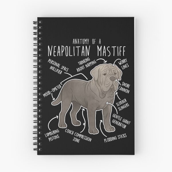 Item preview, Neapolitan Mastiff Dog Anatomy designed and sold by Clara Hollins.