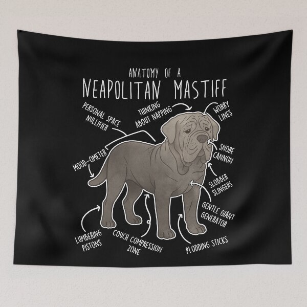 Item preview, Neapolitan Mastiff Dog Anatomy designed and sold by Clara Hollins.