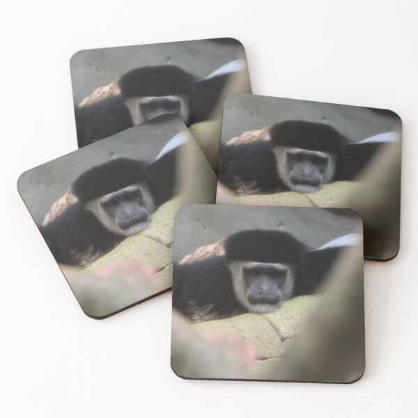 Artikelvorschau, Colobus-Affe entworfen und verkauft von MRK designs.